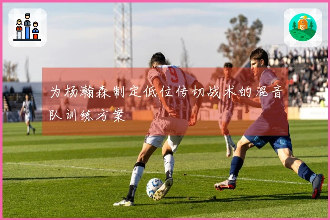 为杨瀚森制定低位传切战术的混音队训练方案